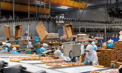 As Piliç 82.5 milyon lotluk dev halka arz için düğmeye bastı