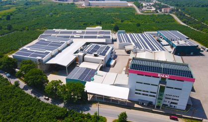 Türk fındığını dünya ile buluşturan Balsu, yeni yatırımlarla büyüyor