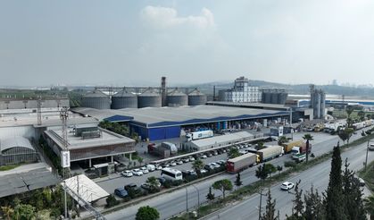 Armada Gıda, 2024'te net kârını yüzde 188 artırdı