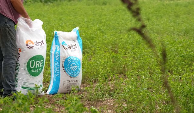 Efor Gübre sabit fiyatla halka arz başvurusunda bulundu