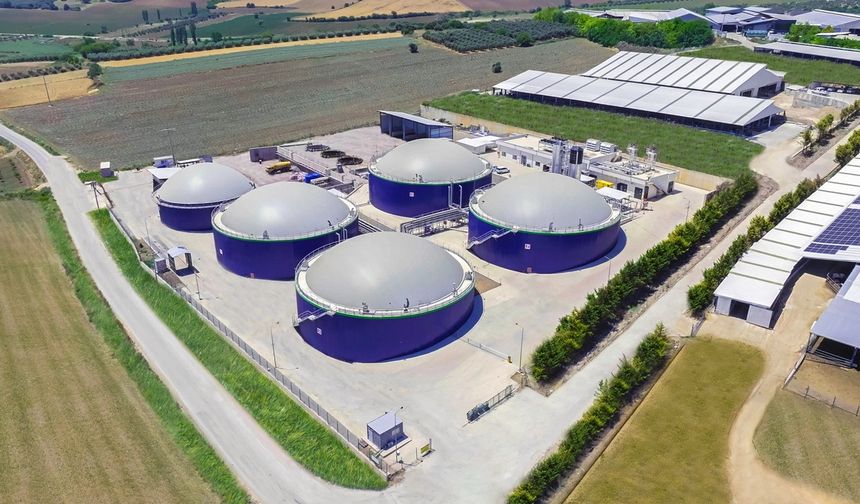 Ecogreen Enerji halka arz takvimi belli oldu