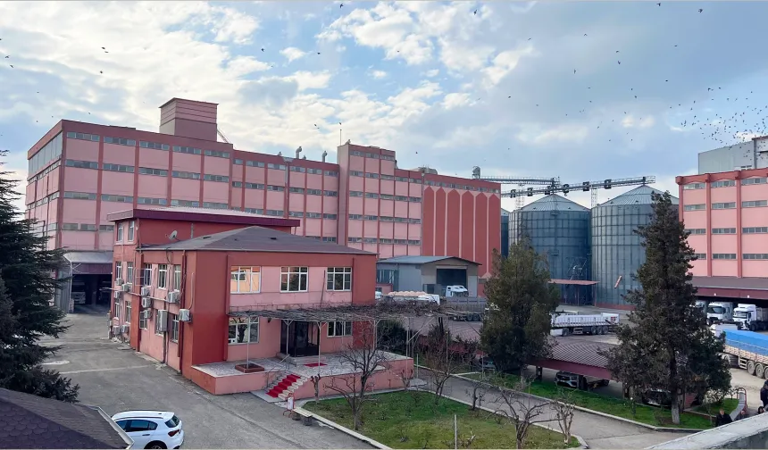 Beşler Makarna Un İrmik Gıda halka arz başvurusunu yaptı