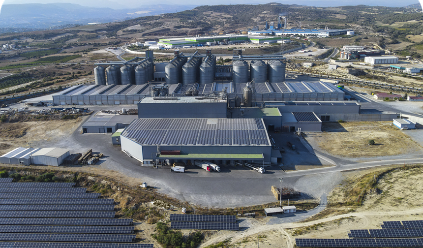 Tiryaki Anadolu Holding’den halka arz başvurusu