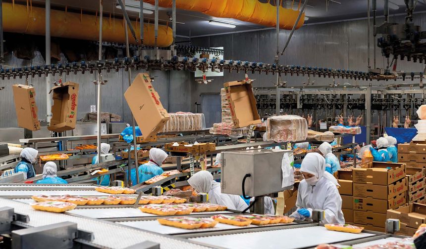 As Piliç 82.5 milyon lotluk dev halka arz için düğmeye bastı