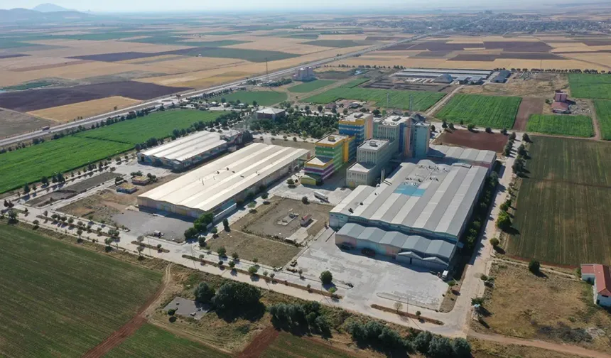 Golda Gıda halka arzına SPK onayı çıktı